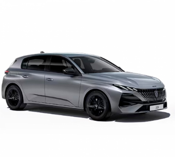 PEUGEOT 308 POR 299/MS