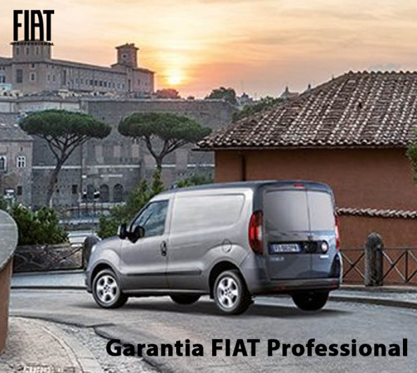 Garantia FIAT Professional Garantia FIAT Professional