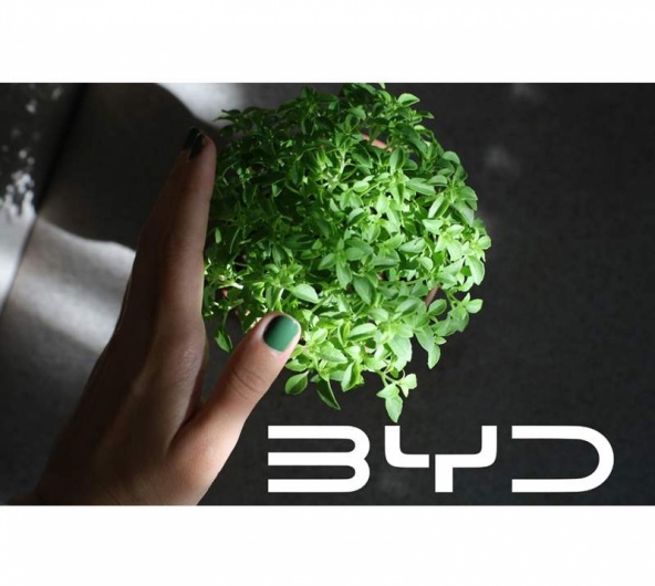 13 JUNHO - OS SANTOS POPULARES CHEGAM � MSCAR-BYD