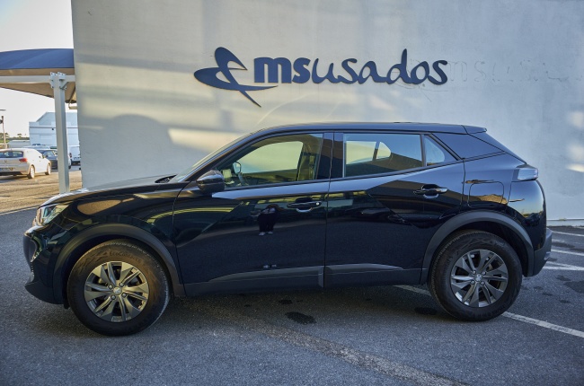 Peugeot 2008 Active 1.2 PureTech 100 Cv Peugeot 2008 Active 1.2 PureTech 100 Cv