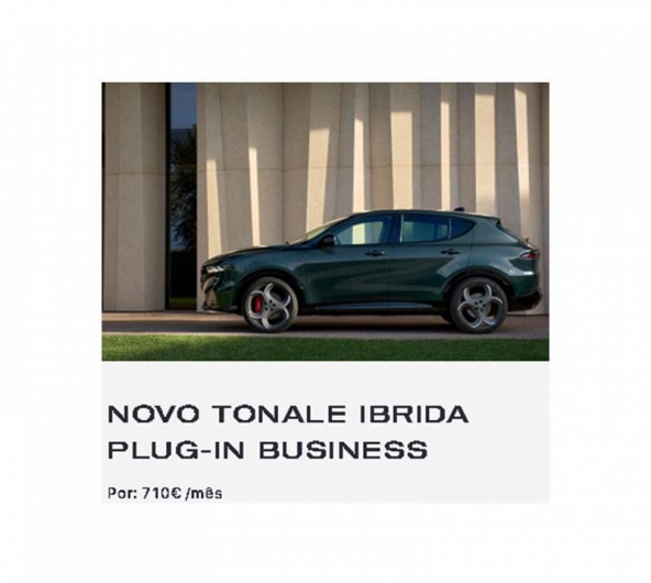 NOVO TONALE IBRIDA PLUG-IN BUSINESS  Por: 710� /m�s