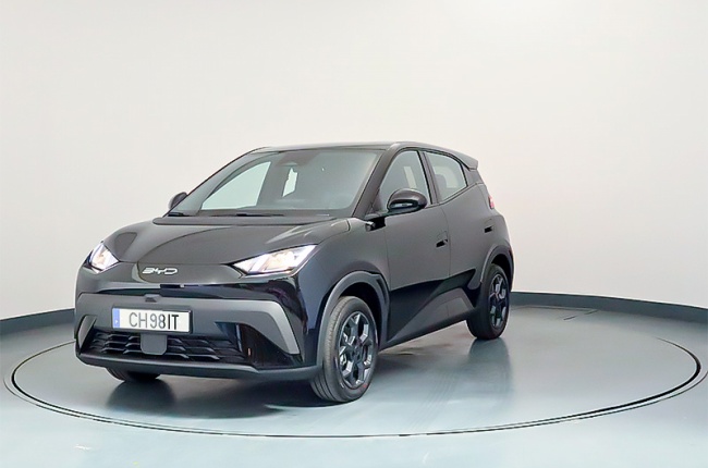 BYD DOLPHIN SURF BOOST