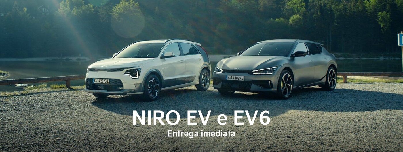 Kia Niro e EV6