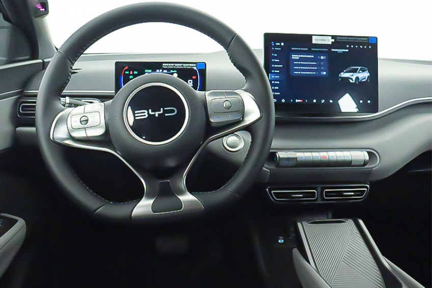 BYD DOLPHIN SURF BOOST