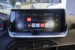 Peugeot 2008 Active Pack 1.5 BlueHDi 110 Cv 