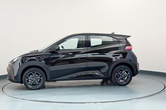 BYD DOLPHIN SURF BOOST