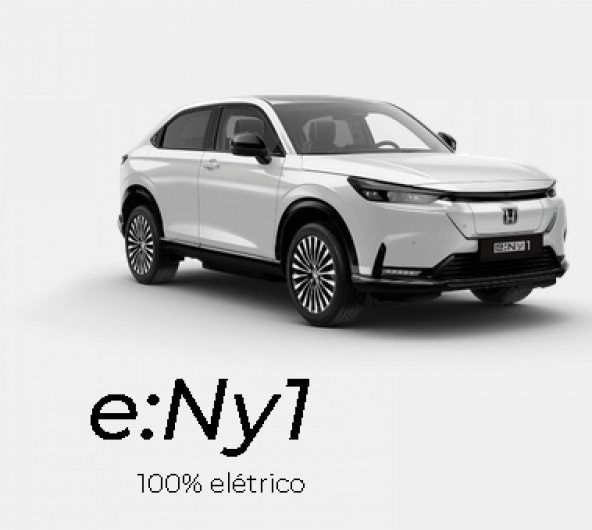 e:Ny1  100% el�trico Exclusivo Empresas 33.490�*
