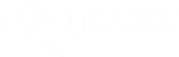 Ms Car Ms Car